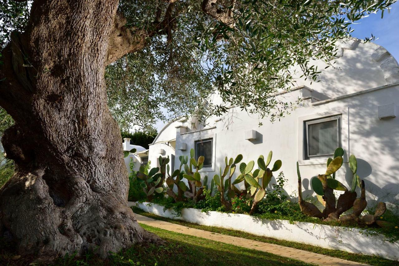 B&B Trullo Barbagiullo Cisternino Extérieur photo